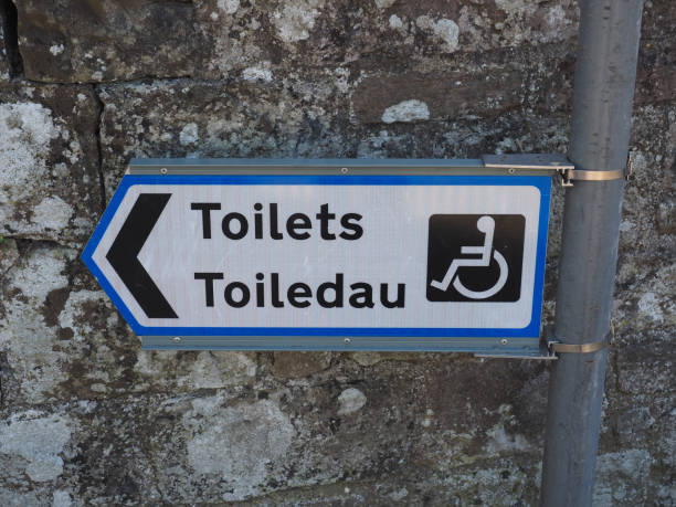 istock Disabled toilets (toiledau) sign in English and Welsh 1179792498