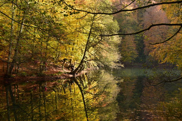 istock Yedigoller region in Bolu 1179793213