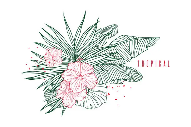 Vector illustration of Tropical pattern with palm, banana leaves and hibiscus flower. Beach vacation, label, outline illustrations for tourism and travel industry. Hand drawn tropical plants.