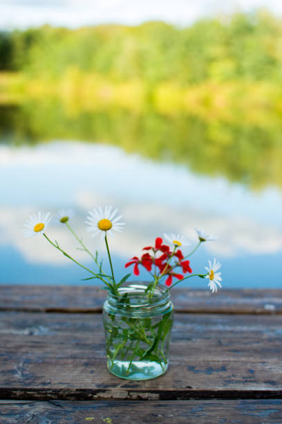 Daisies in a jar on a wooden table against a lake reflection