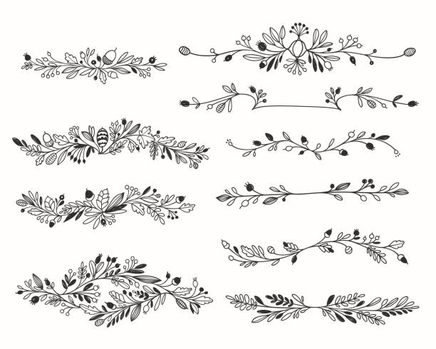 Decorative hand-drawn floral dividers. Vector set.