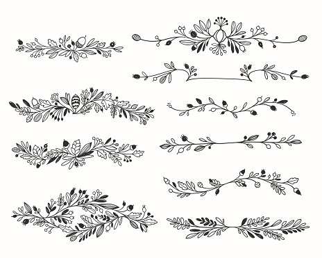 Decorative hand-drawn floral dividers. Vector set.