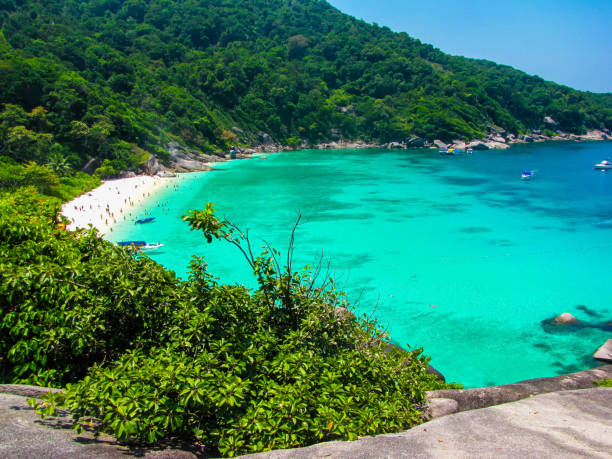 istock Similan Islands, Thailand 1179797275