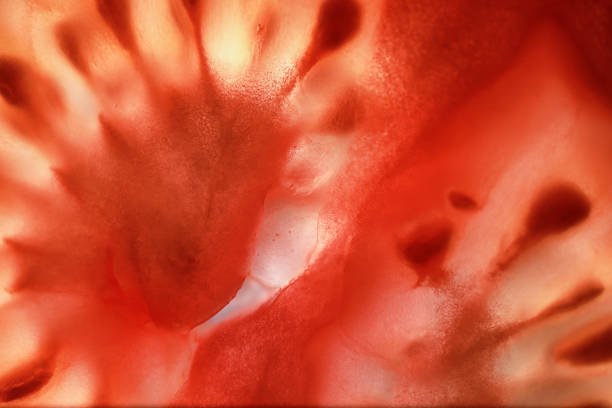 istock Red tomato cut in half with the texture of seeds 1179797855