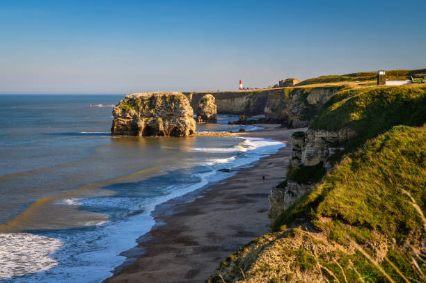 Magnesian Limestone Cliffs at Marsden Bay