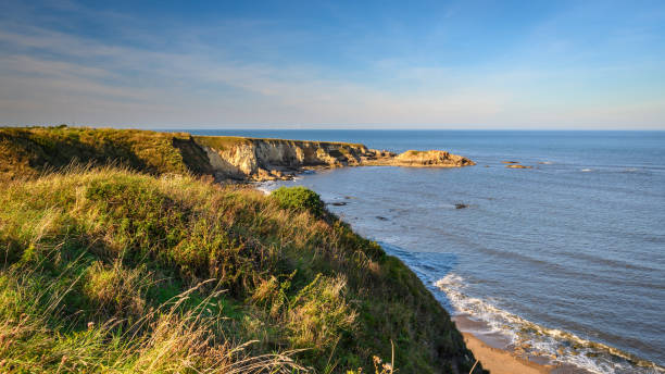 istock Clifftop View at Marsden Bay 1179798037
