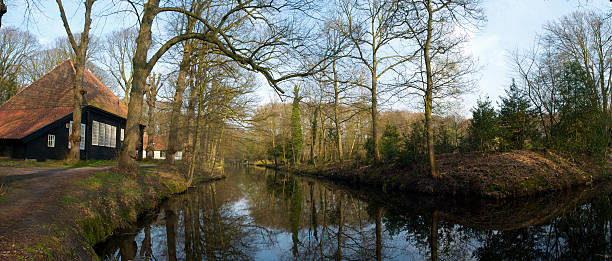 istock House in the woods 117979909