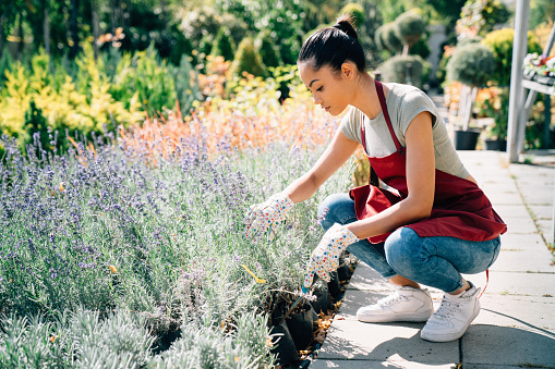 Mixed race housewife taking care of plants and herbs at summer day. Small family business concept