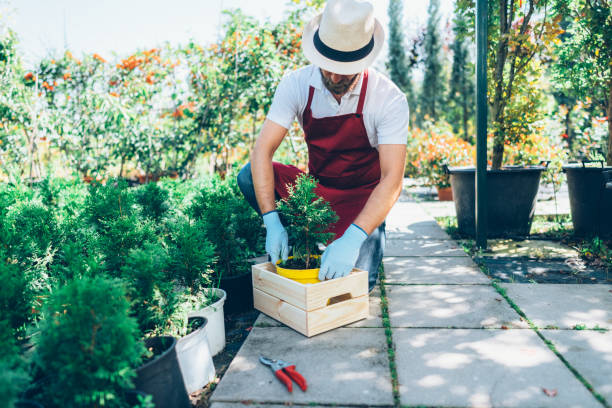 istock Florist working in the garden center 1179799485