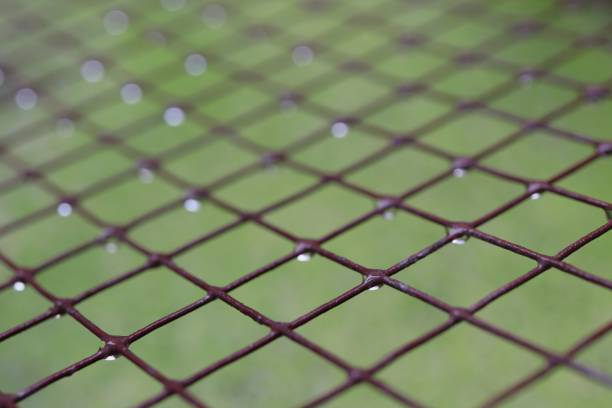istock old steel wire mesh with water drop on green background 1179801550