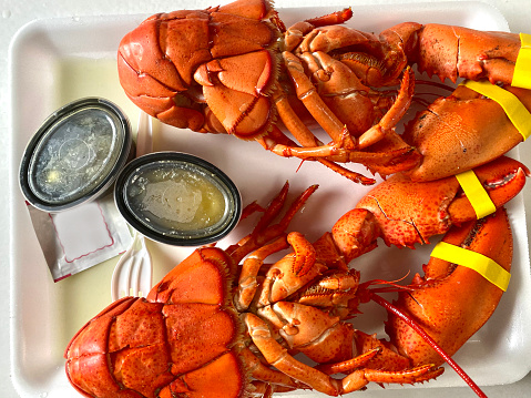 Two whole lobster dinner with butter.