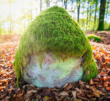 I found a stone in the woods with a cool hairstyle.