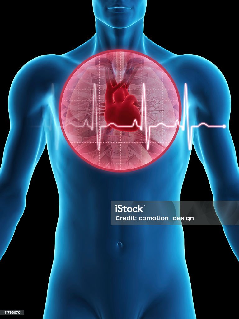 人の心臓 - 心電図のロイヤリティフリーストックフォト