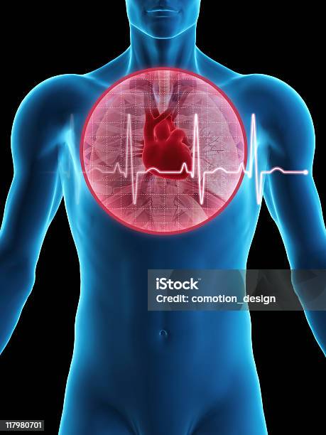 人の心臓 - 心電図のストックフォトや画像を多数ご用意 - 心電図, 脈をとる, 人体構造