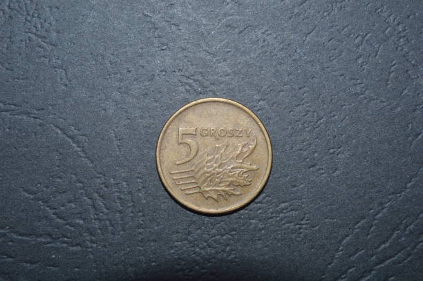 istock Coins of different countries and denominations 1179809449