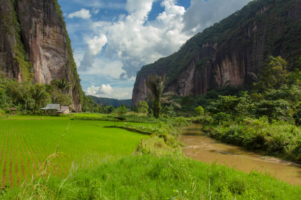 Harau Valley is in West Sumatra in Indonesia. It is one of the most beautiful natural scenery in West Sumatra. Located on the road between Pekanbaru and Bukittinggi. It is an area of canyons and rock formations with forest and rice fields in between