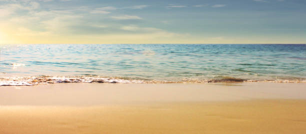 istock Empty sand beach in front of summer sea 1179815111