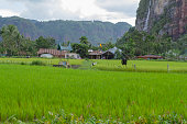 harau-valley-in-payakumbuh-west-sumatra-indonesien.jpg?b=1&s=170x170&k=20&c=dRTHAN1KOJOXrEGlzO2KvcLkyn_MKZkqj76OEWHL_SI=