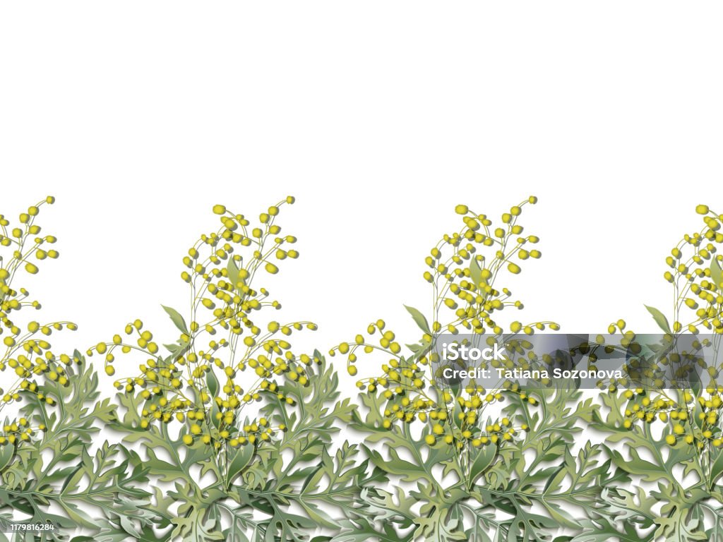 Mô Hình Ngang Liền Mạch Của Cây Ngải Artemisia Absinthium Cành Cây ...