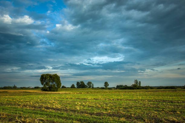 istock Green field, beautiful clouds on the sky 1179816702