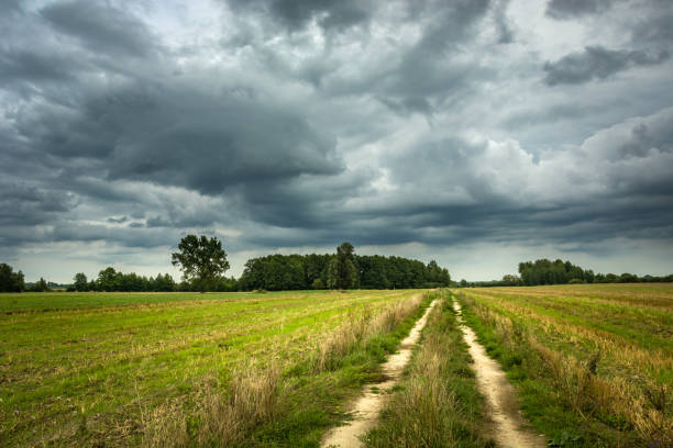 istock Rural road through fields, trees and clouds on the sky 1179820940