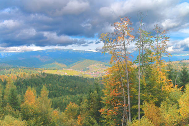 istock Autumn in the Carpathian mountains. 1179823227