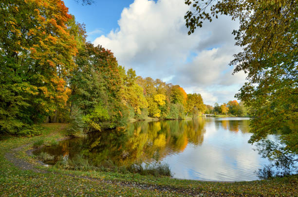 istock Autumn landscape in the Park. 1179823797