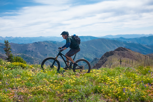 A Senior Mountain Biker Riding Osberg Ridgeline Trail.  Riding through Wild flowers.