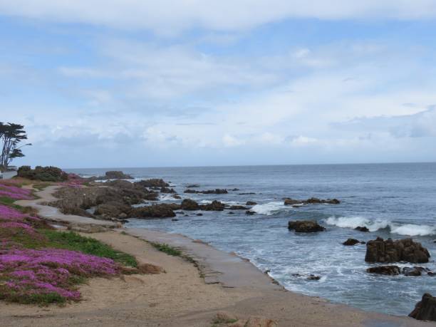 istock Monterey California Coastline 1179826577