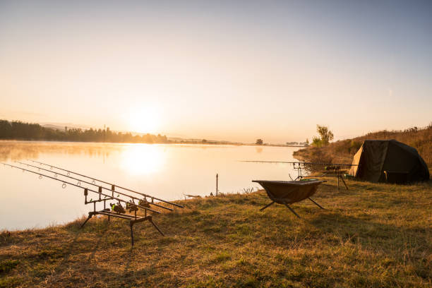 istock Fishing adventures, carp fishing. 1179827004