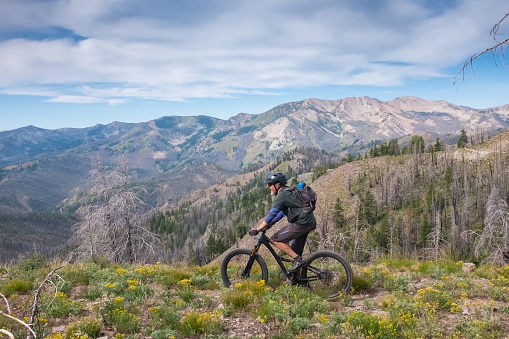 A Senior Mountain Biker Riding Osberg Ridgeline Trail.  Riding through Wild flowers.