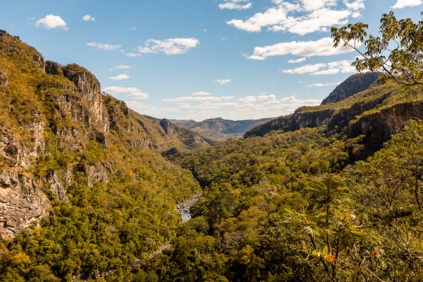 valley in chapada do veadeiros, goiás, brazil - valley tree remote landscape imagens e fotografias de stock