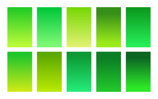 Green foliage color palette gradient background set. Trendy cover for banner, poster, flyer, brochure and presentation. Bright screen design for mobile apps. Vector illustration