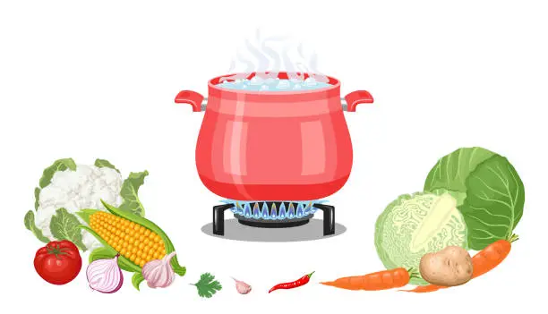 Vector illustration of Cooking in red pan. Steaming food in  pot on gas stove isolated on white background. Vegetables whole and chopped. Vector illustration in cartoon simple flat style.