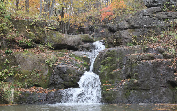 istock Colors of autumn 1179835939