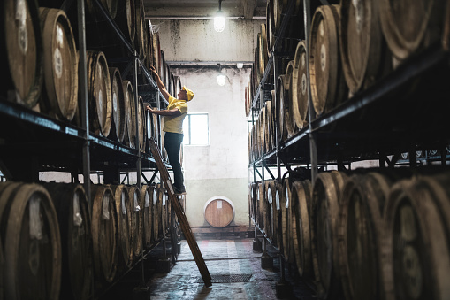 Caucasian adult man examining barrel in distillery.