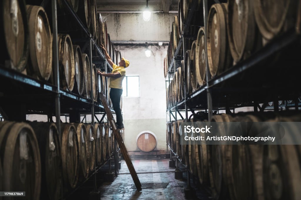 Examining barrel in distillery Caucasian adult man examining barrel in distillery. Whiskey Stock Photo