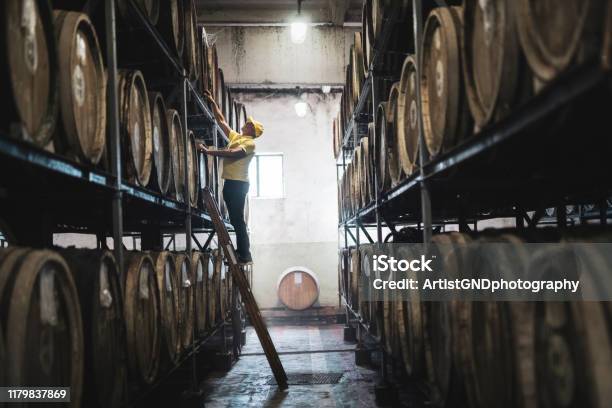Examining Barrel In Distillery Stock Photo - Download Image Now - Whiskey, Distillery, Winemaking