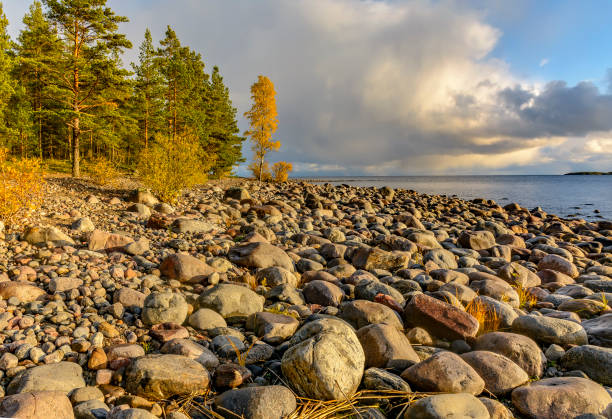 istock Kajosaari island 1179838236