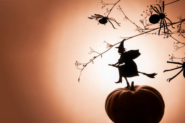 istock Witch flies on the Sabbath. Creative trendy Halloween background with a flying witch silhouette and spiders a gradient light background 1179839286