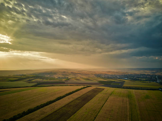 istock Aerial drone view of grain fields, wheat during golden sunset. Agricultural pattern. 1179839429