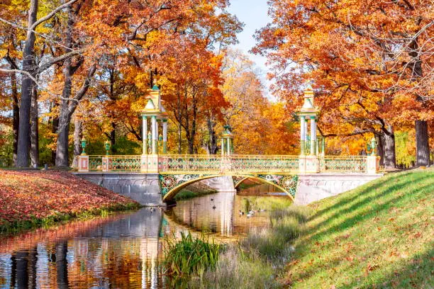 Chinese bridge in autumn in Alexander park, Pushkin (Tsarskoe Selo), St. Petersburg, Russia