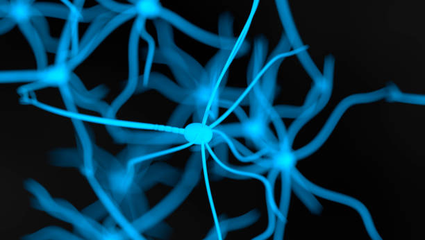 istock Neural Cell. Synapse and neuron cells sending electrical chemical signals 1179840657