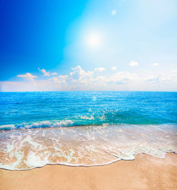 istock beautiful tropical beach and sea 1179843843
