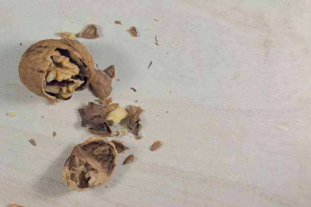 cracked nut isolated on a wood background, composition of a cracked walnutcracked nut isolated on a wood background, composition of a cracked walnutcracked nut isolated on a wood background, composition of a cracked walnut