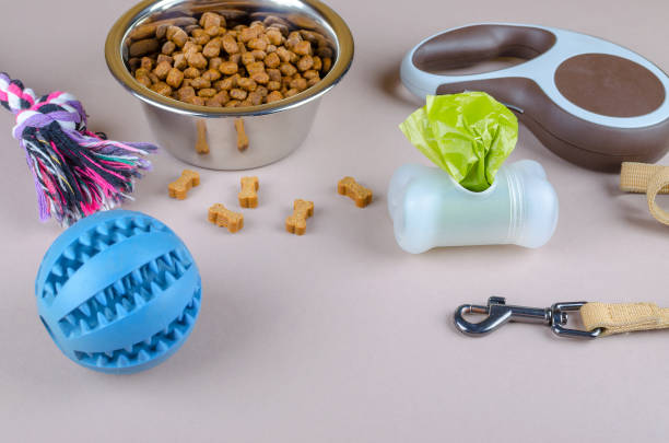 ペット、リード、おもちゃ、うんこ袋のためのボウルに乾燥食品 - domestic cat bag shopping gift ストックフォトと画像