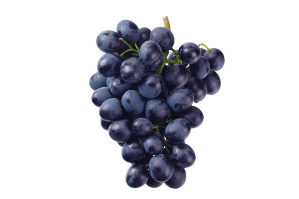 istock blue grape isolated on a white background. Food 1179848947
