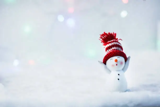 Photo of Happy snowman standing in winter christmas landscape. Merry christmas and happy new year greeting card. Funny snowman in hat on snowy background. Copy space for text