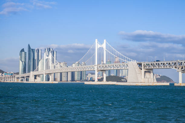 istock Haeundae District of Busan city 1179849863