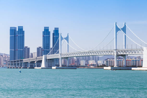 istock South Korea. Busan Cityscape 1179849865
